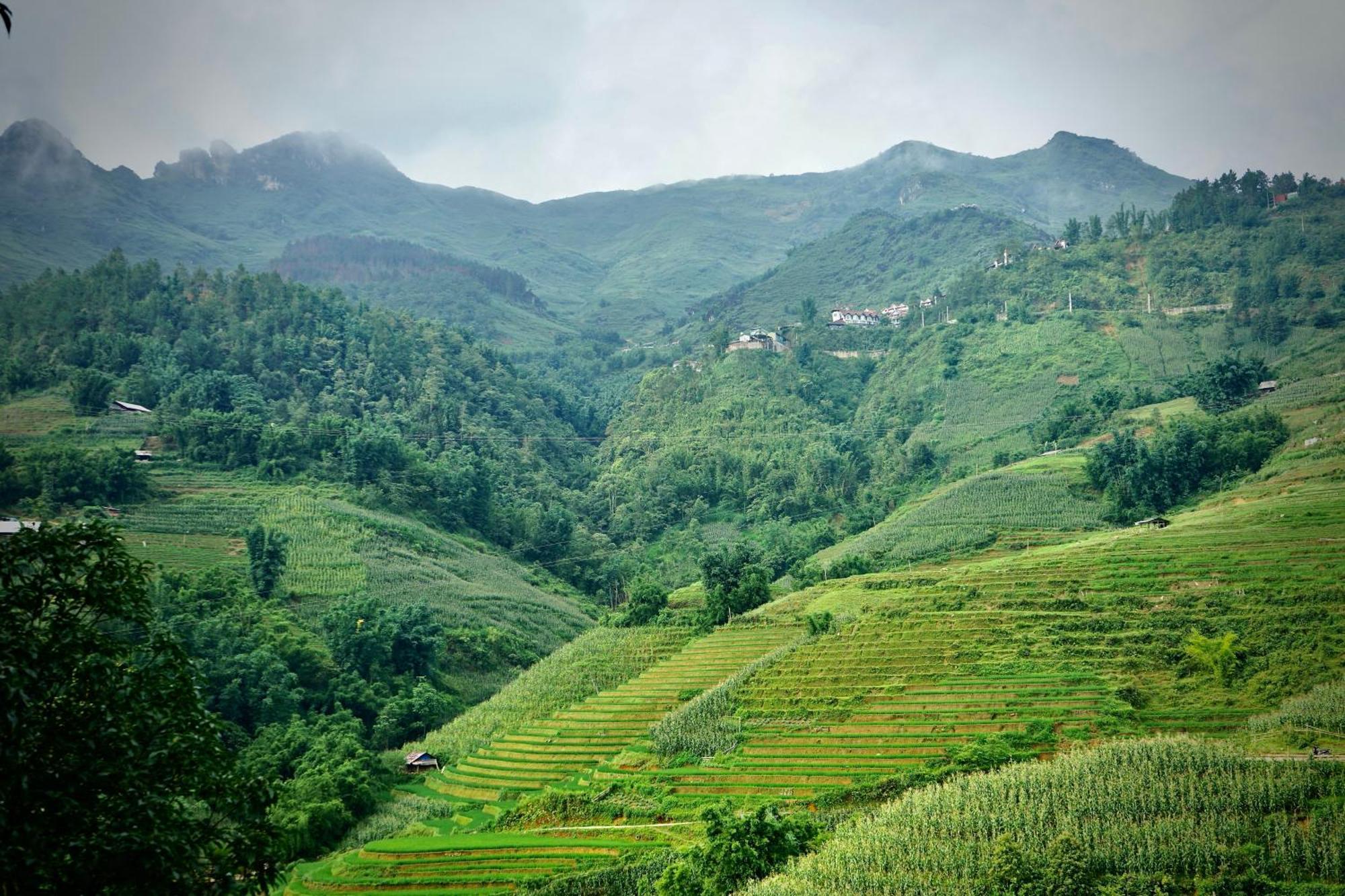 Sapa Hillcrest Homestay Lao Cai Eksteriør billede