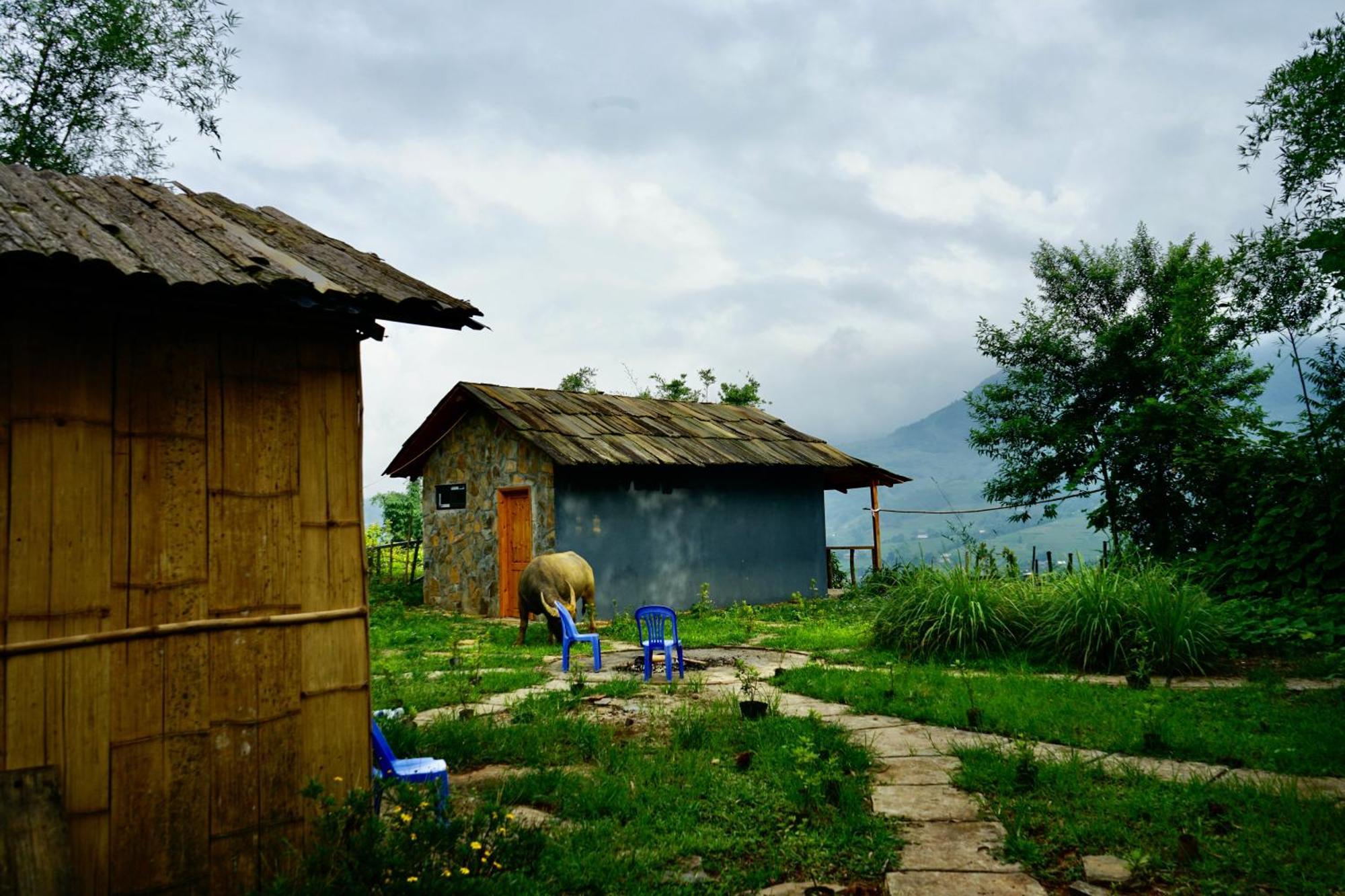 Sapa Hillcrest Homestay Lao Cai Eksteriør billede