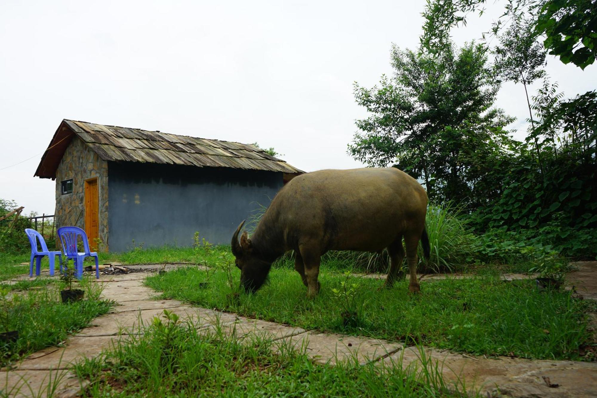 Sapa Hillcrest Homestay Lao Cai Eksteriør billede