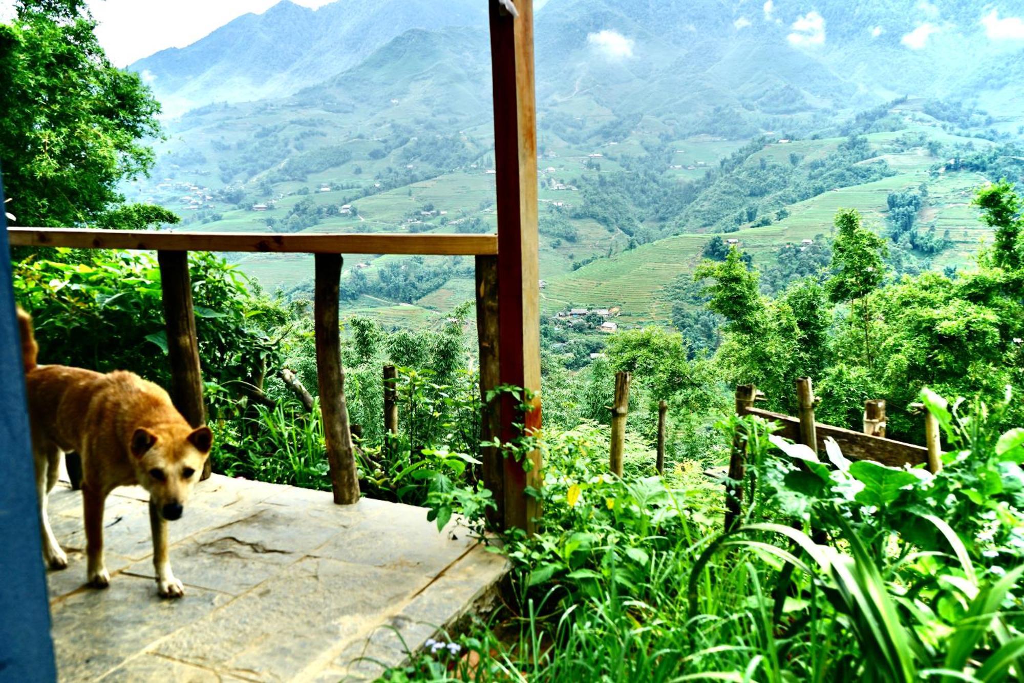 Sapa Hillcrest Homestay Lao Cai Eksteriør billede
