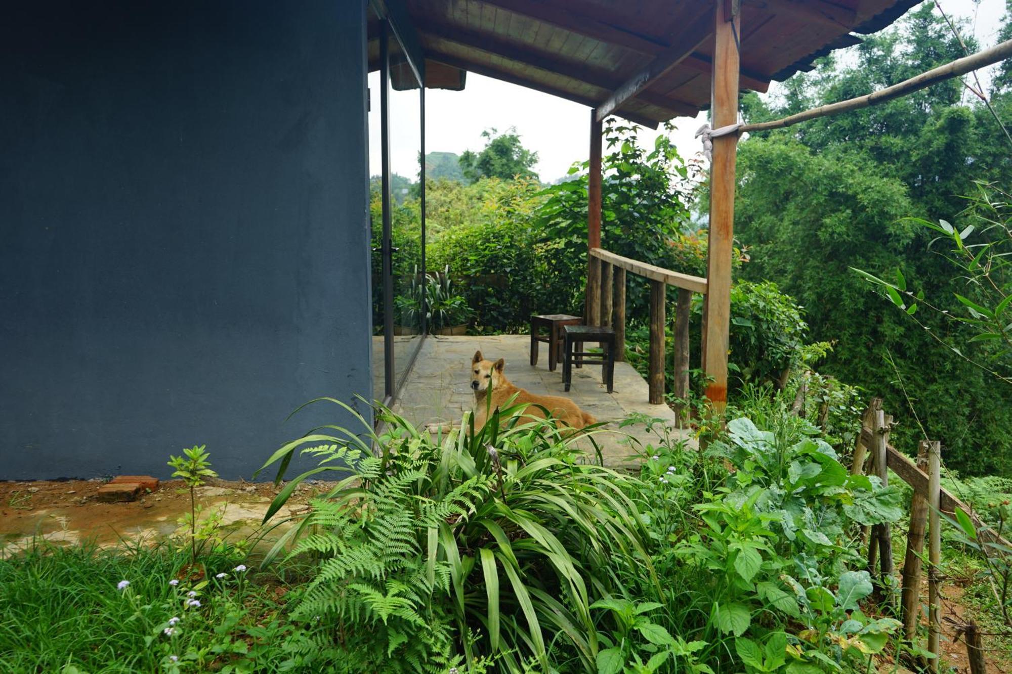 Sapa Hillcrest Homestay Lao Cai Eksteriør billede